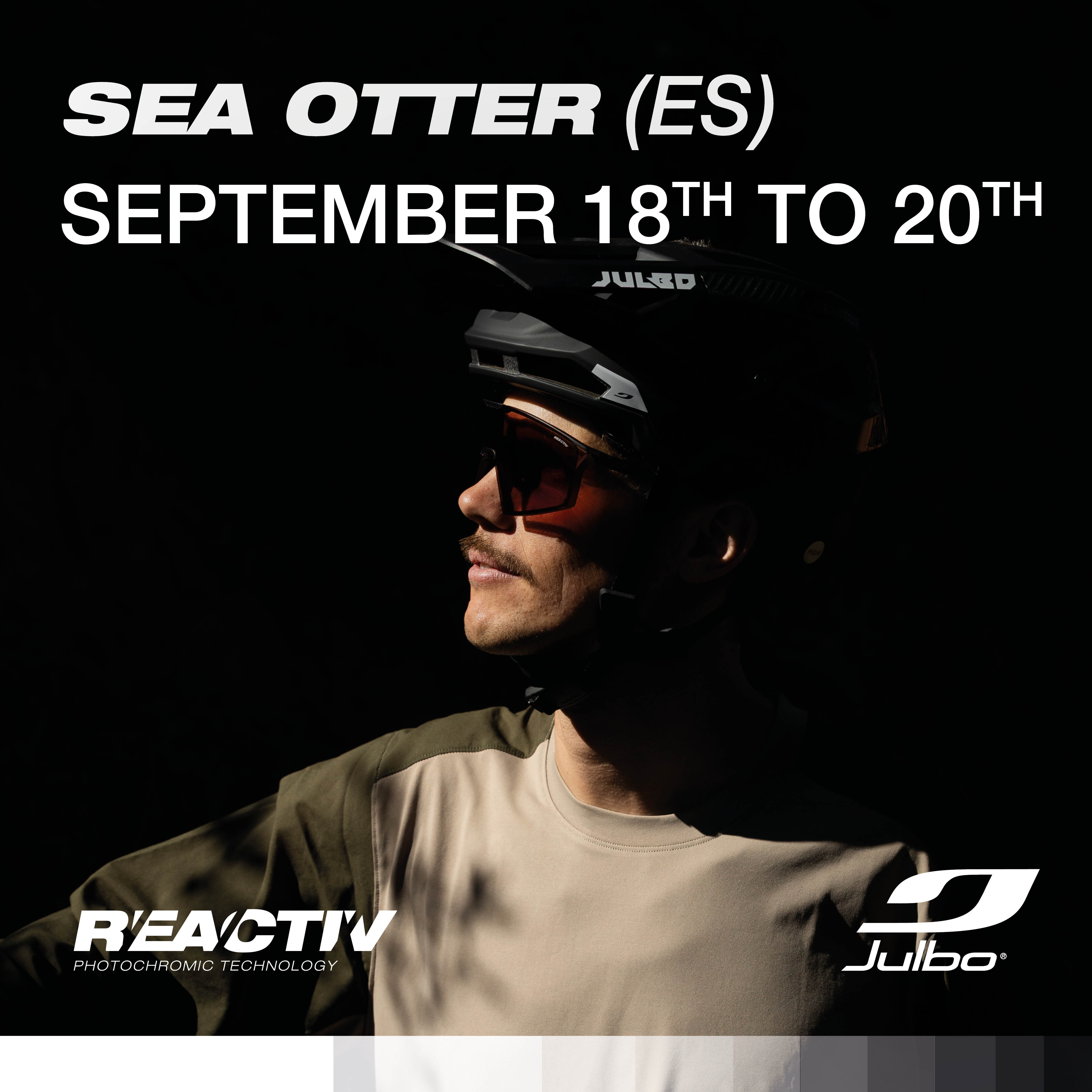 Sea Otter (SP)