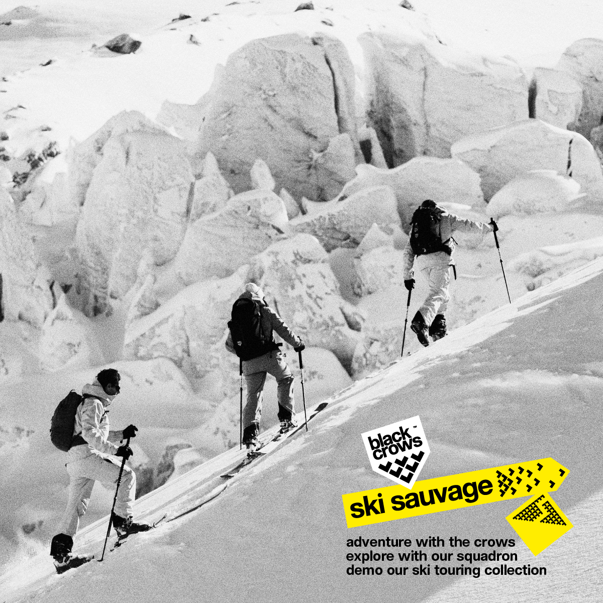 Ski Sauvage - Touring - Chamonix
