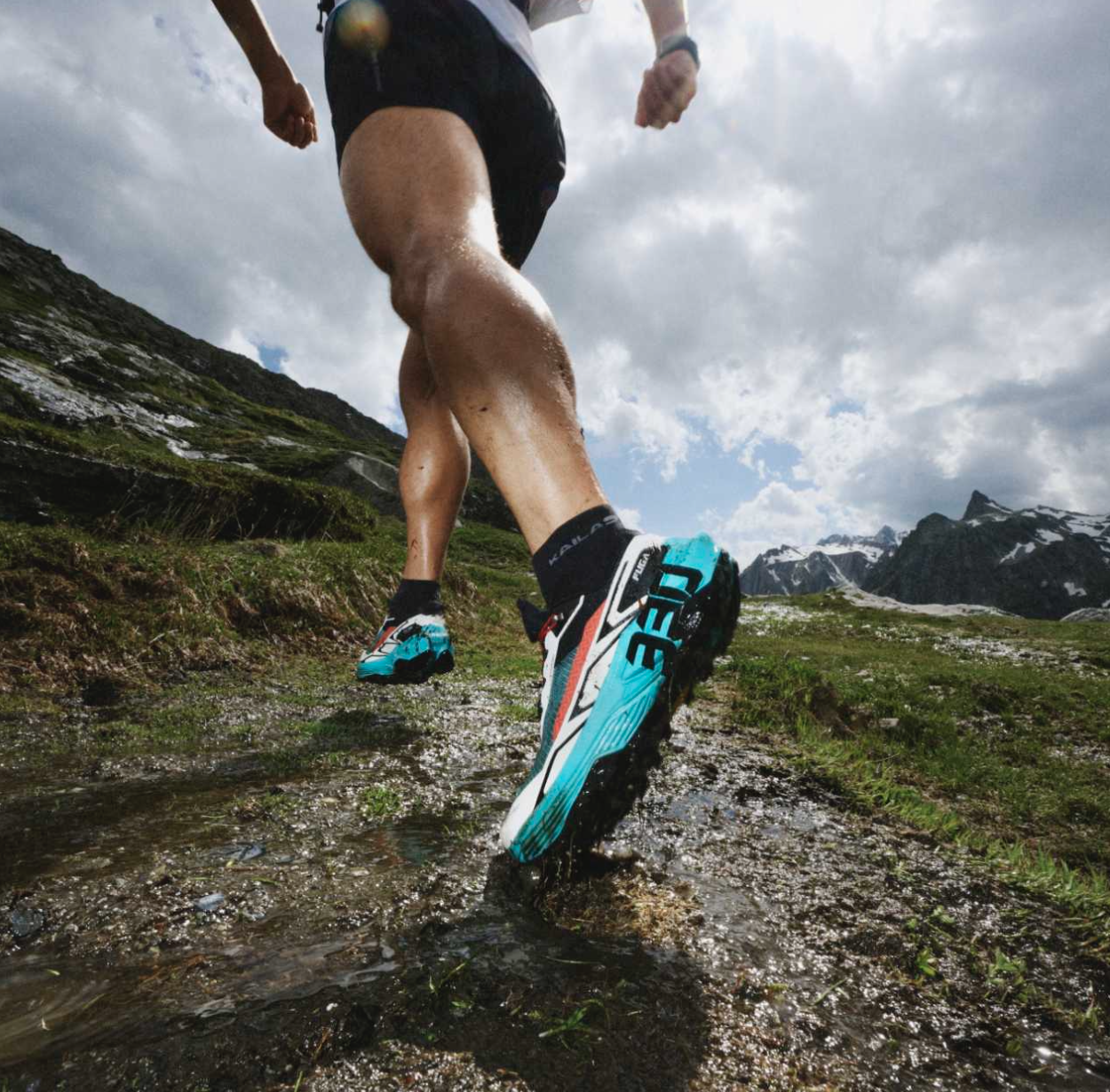 Session Testing Kailas FUGA